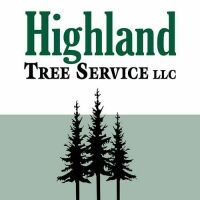 Site Icon / Logo