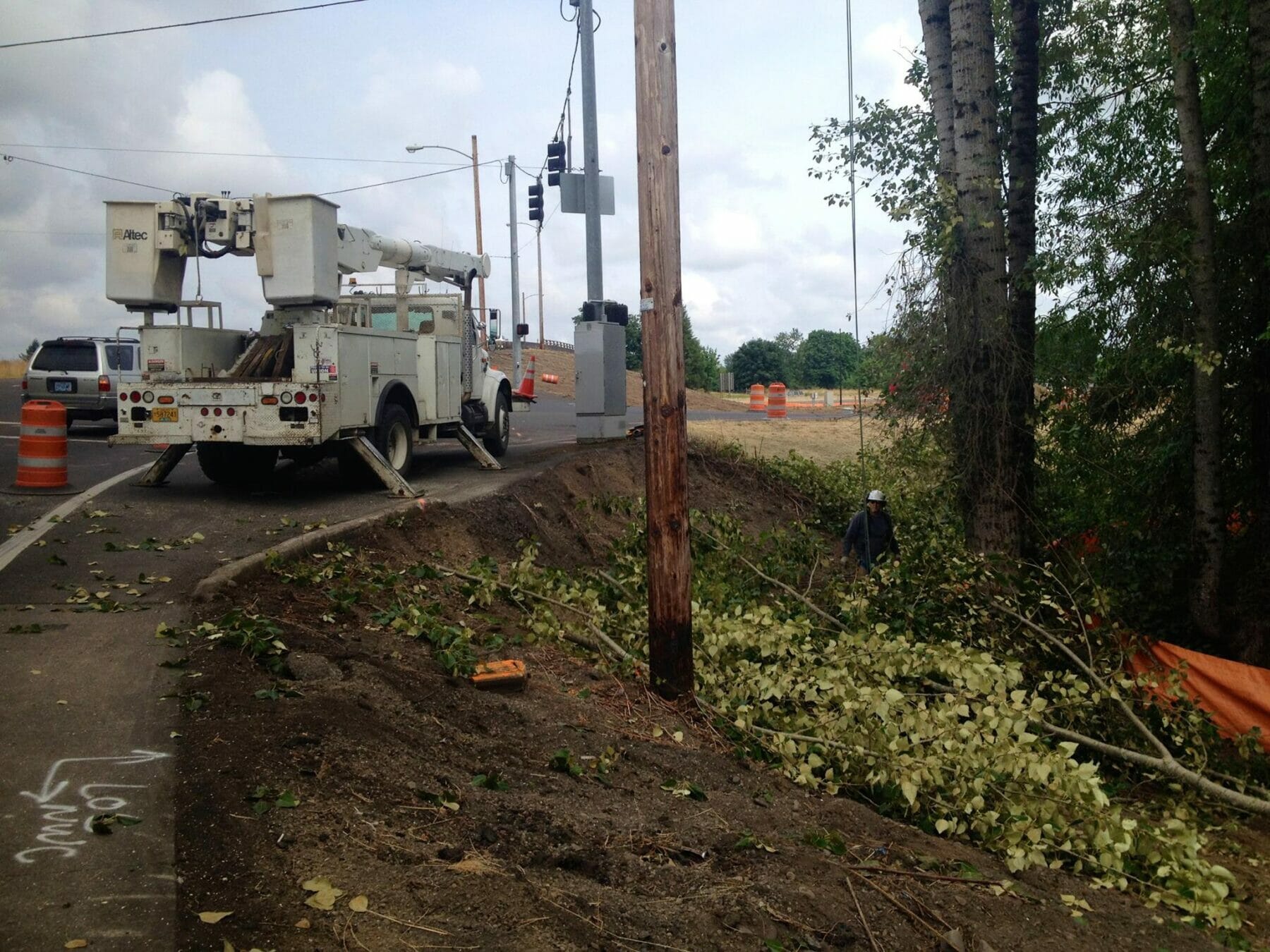 Tree removal next to power lines