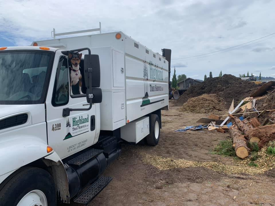 Highland Tree Service truck with fallen trees around it